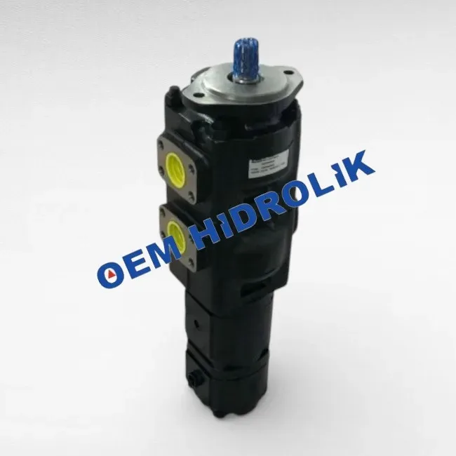 55198823 / 551 988 23 / BG00228172	 Quadro Pump / 7029542004 / PGP620B0230AD1H2VT4T3S-620B023 DX800